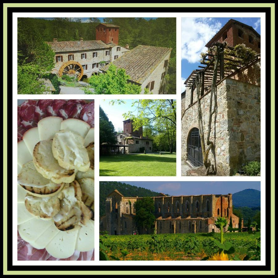 Agriturismo Il Mulino Delle Pile Chiusdino Buitenkant foto