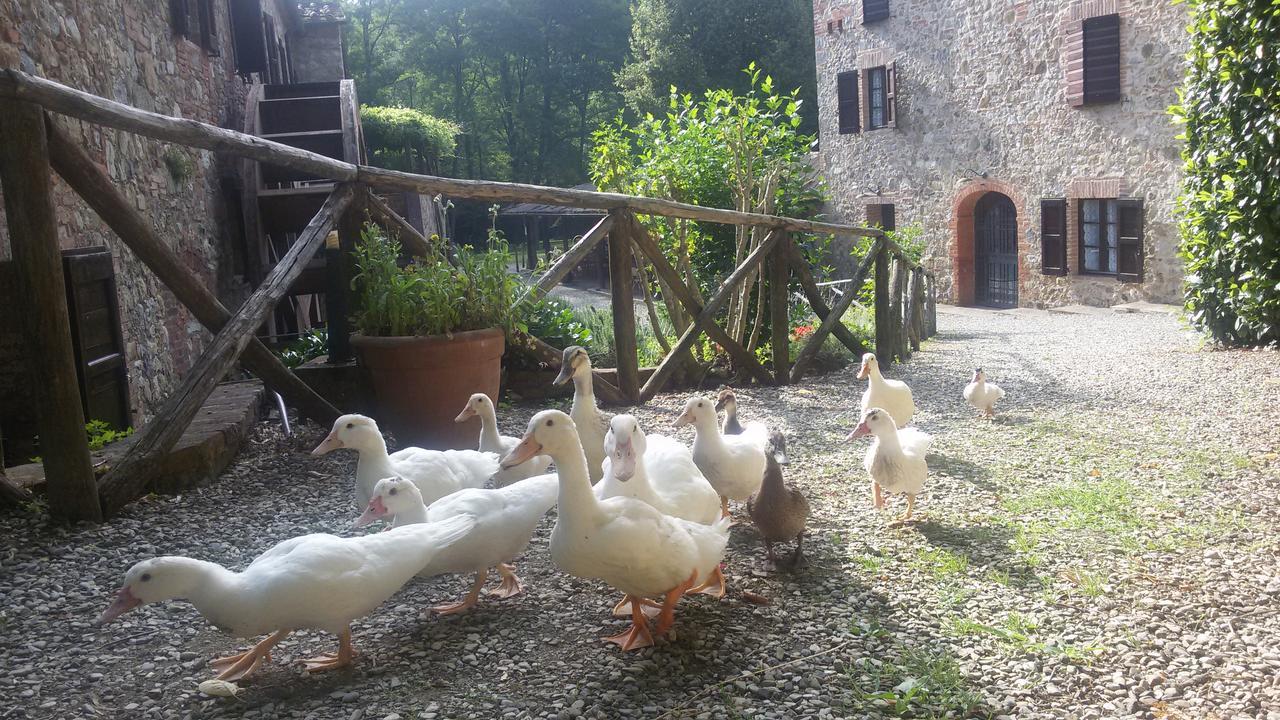 Agriturismo Il Mulino Delle Pile Chiusdino Buitenkant foto