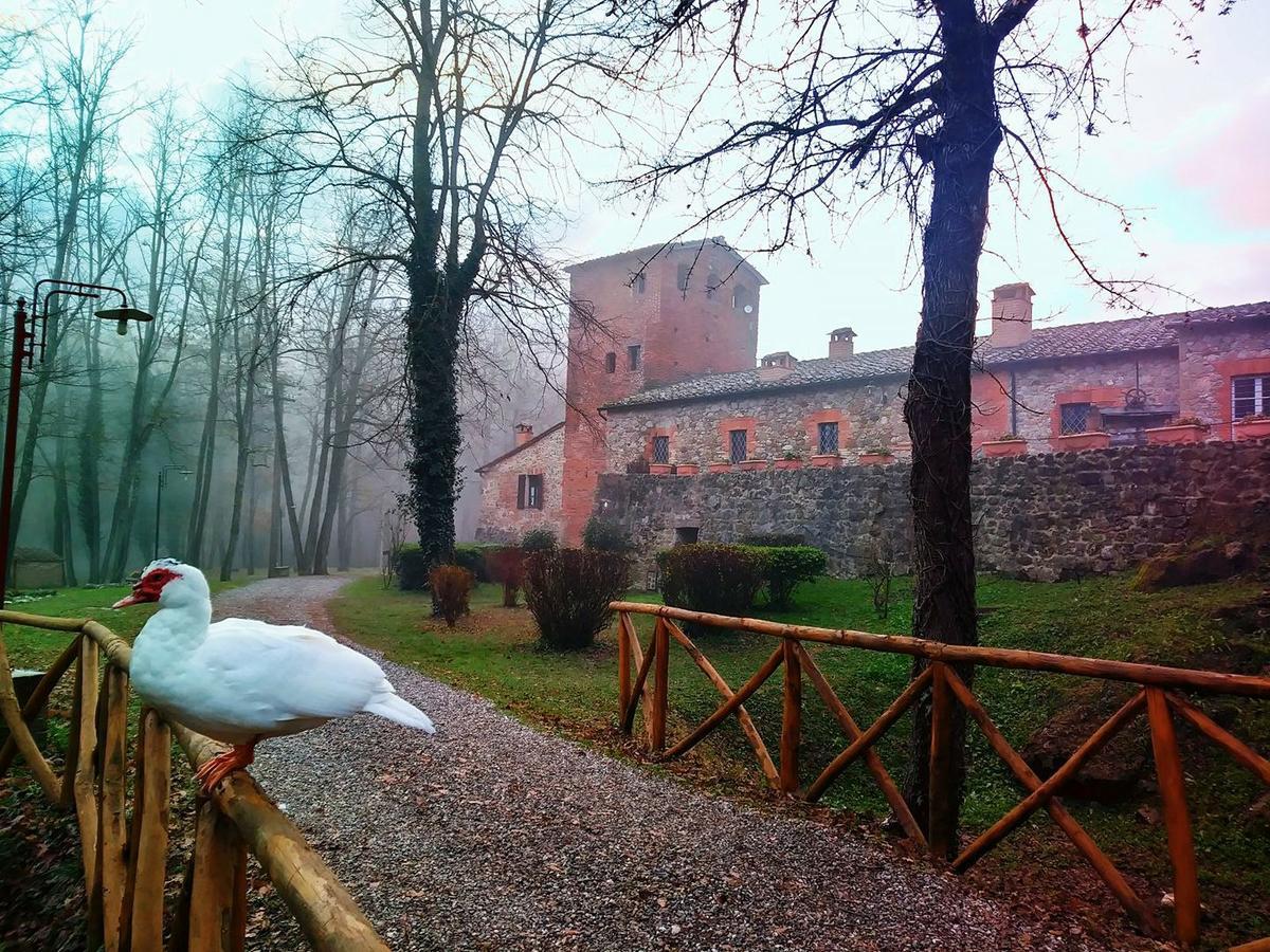 Agriturismo Il Mulino Delle Pile Chiusdino Buitenkant foto