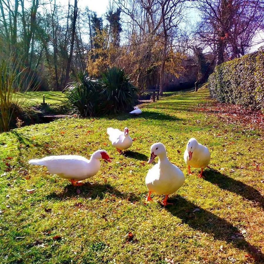 Agriturismo Il Mulino Delle Pile Chiusdino Buitenkant foto