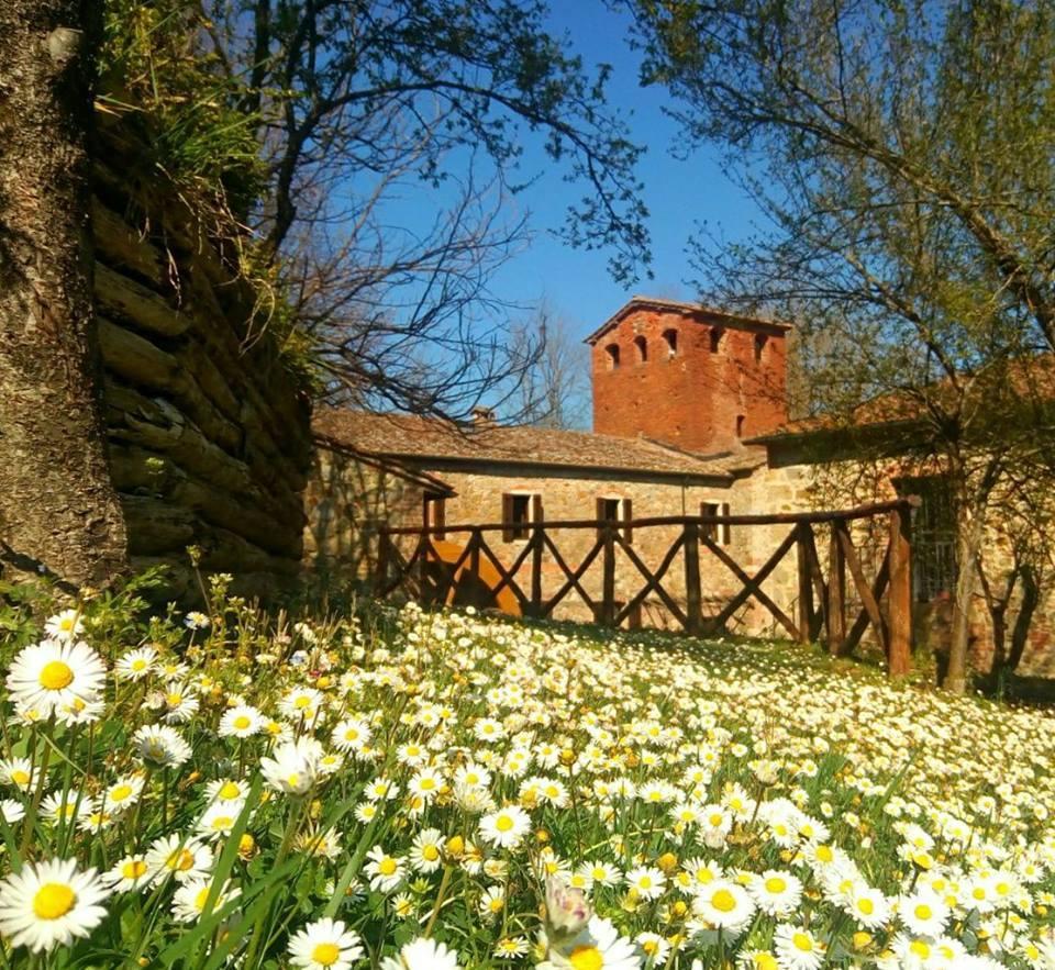 Agriturismo Il Mulino Delle Pile Chiusdino Buitenkant foto