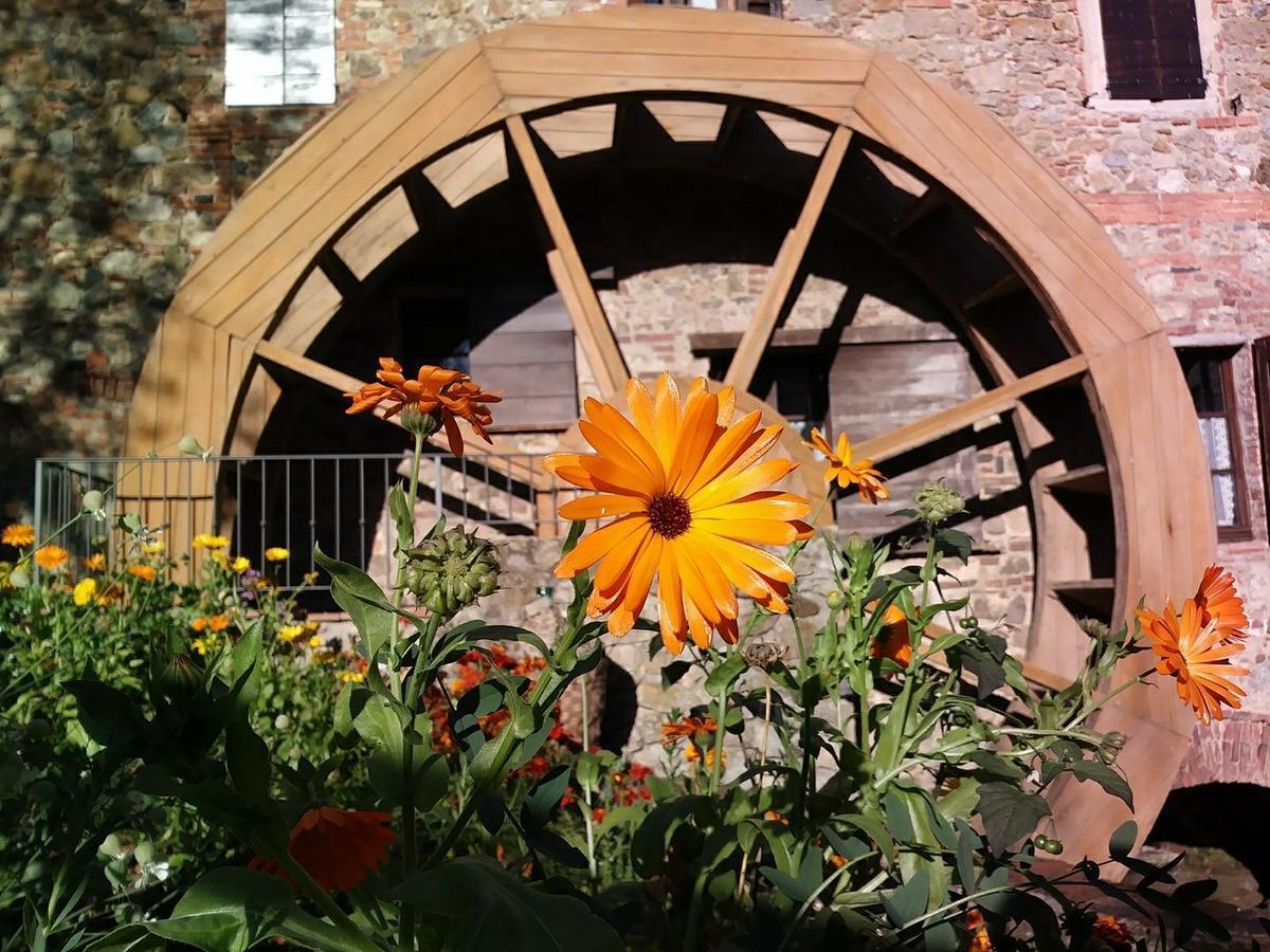 Agriturismo Il Mulino Delle Pile Chiusdino Buitenkant foto