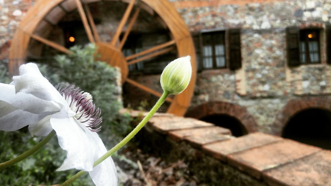 Agriturismo Il Mulino Delle Pile Chiusdino Buitenkant foto